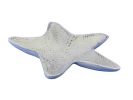 Whitewashed Cast Iron Starfish Decorative Bowl 8""