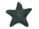 Seaworn Blue Cast Iron Starfish Decorative Bowl 8""