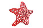 Rustic Red Cast Iron Starfish Trivet 7""